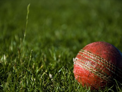 2018年俄罗斯世界杯法国队夺冠时刻